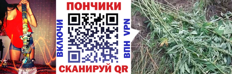 Названия наркотиков Тихвин Каннабис МЕФ СК Псилоцибиновые грибы Гашиш