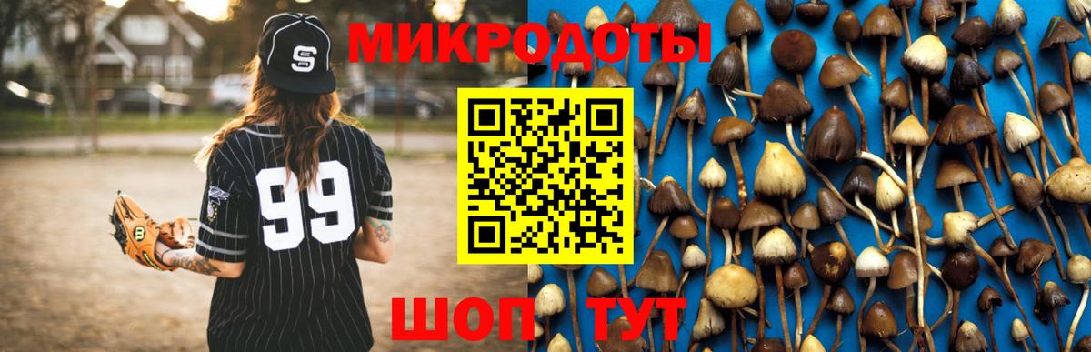 Псилоцибиновые грибы мицелий Тихвин